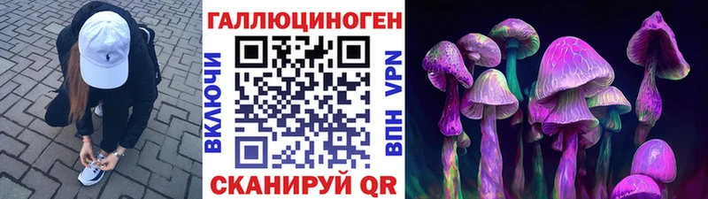 Галлюциногенные грибы Psilocybe  Жердевка 